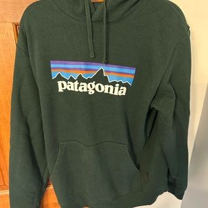 Green Patagonia hoddie